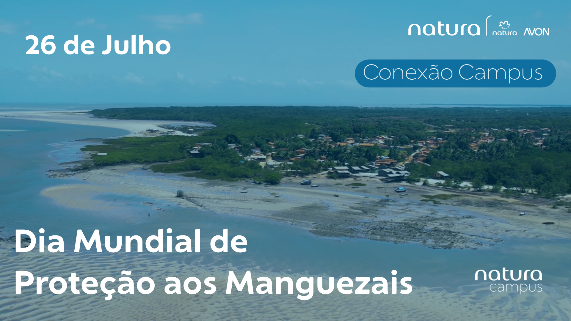 A Ciência do Carbono Azul e a Sociobiodiversidade nos Manguezais da Amazônia 