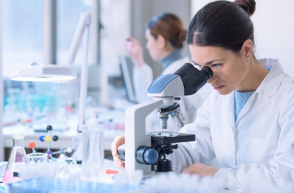 Natura celebra o sucesso da parceria com o programa Inova Talentos